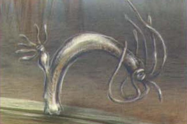 Kra40.cc