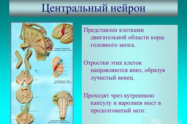 Сайт кракена в торе